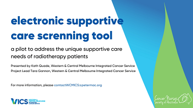 E-supportive care screening tool pilot: meeting the needs of radiotherapy patients